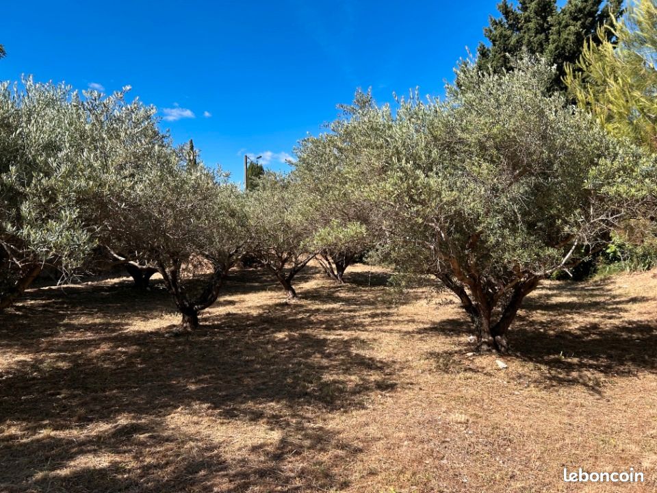 Terrain 300 m² Saint Jean De Fos · à Saint-Jean-de-Fos · 95 000 €
