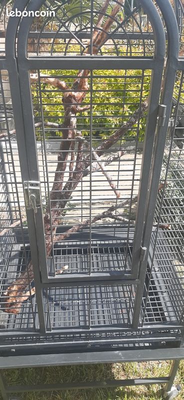 Cage pour perroquet (image 2)