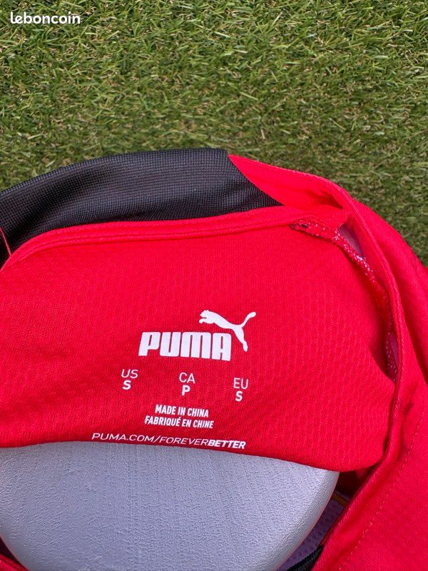 Maillot terrier Stade Rennais (image 8)