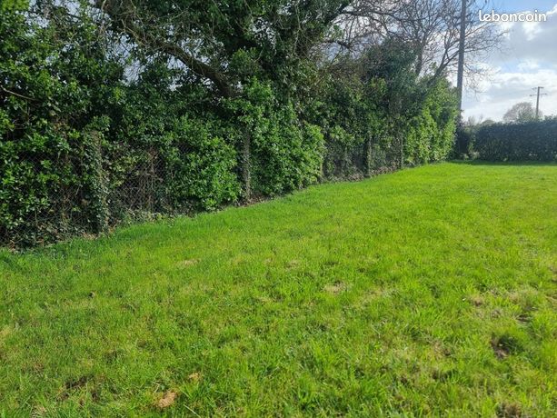 Terrain 560 m² Baden