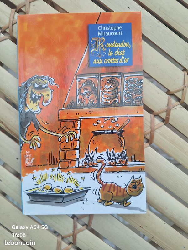 📚 Livre "Roudoudou – Le chat aux crottes d’or" (image 1)