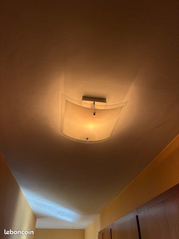 2 lampes plafonnier en verre sablé (image 1)