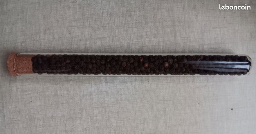 Poivrier Hedios neuf 41cm (image 3)