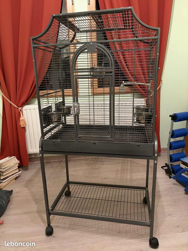 Cage oiseaux (image 1)