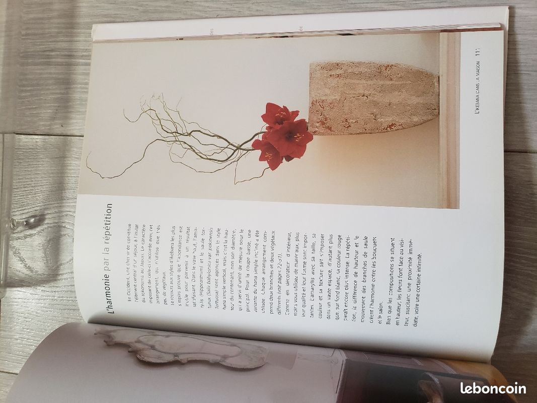 Vases et livre Art du bouquet de fleurs (image 8)