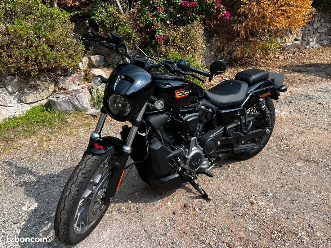 Harley davidson nightster rh 975 special (image 3)