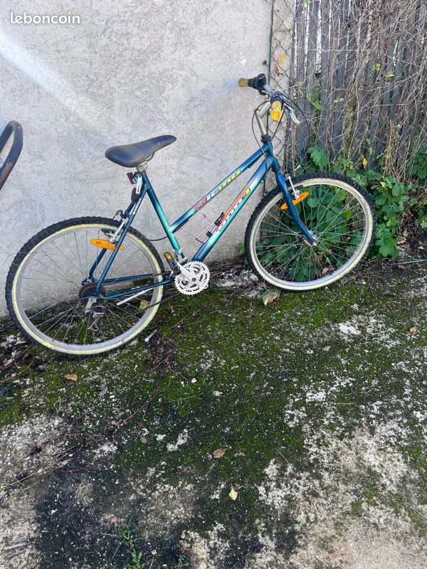 Vélo vtt (image 1)
