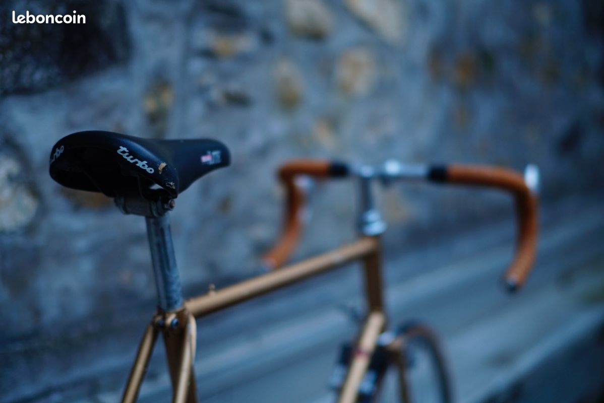 Vélo Vintage Raleigh Scirocco Carlton - Année 1980 - Acier - Révisé