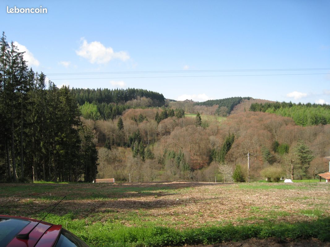 TERRAIN 2600 m² VIABILISE CELLES SUR DUROLLE 63250 · à Celles-sur-Durolle · 33 800 €