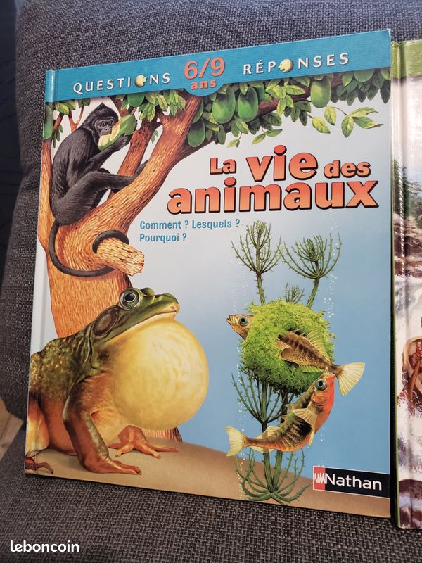 Lot de 3 livres Questions Réponses (image 3)