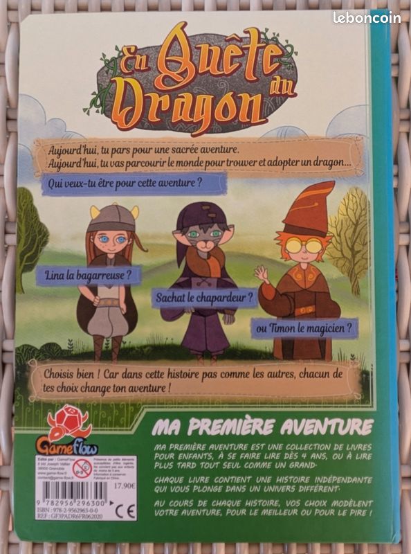En Quête du Dragon: Ma Première Aventure (image 2)