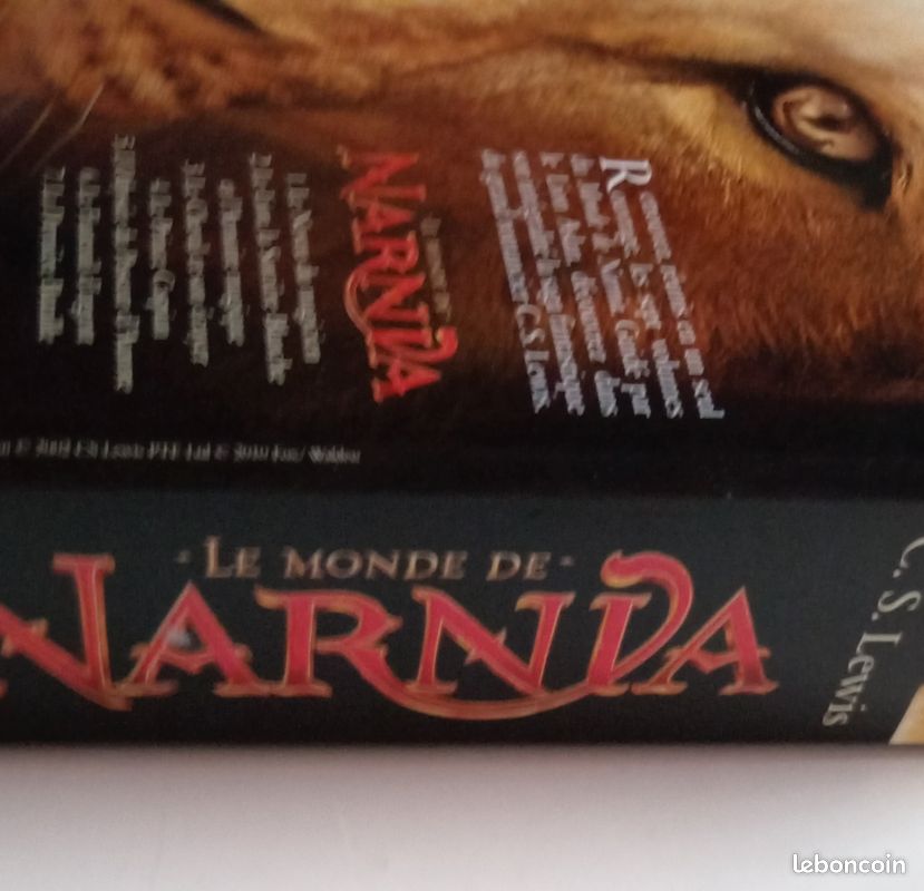 Le monde de Narnia (image 2)