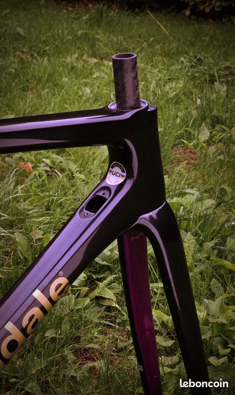 Peinture personnalisation cadre vélo course Vélos