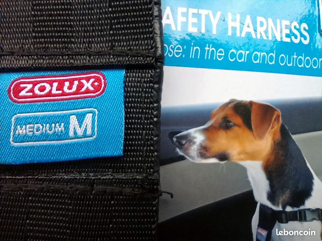 Harnais CHIEN de sécurité pour Auto (image 5)