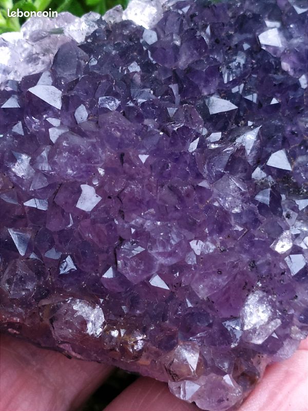 Minéraux *** GRANDE DRUSE D'AMÉTHYSTE VIOLETTE HAUTE QUALITÉ Brésil 5,2 KG