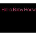 hello baby horse