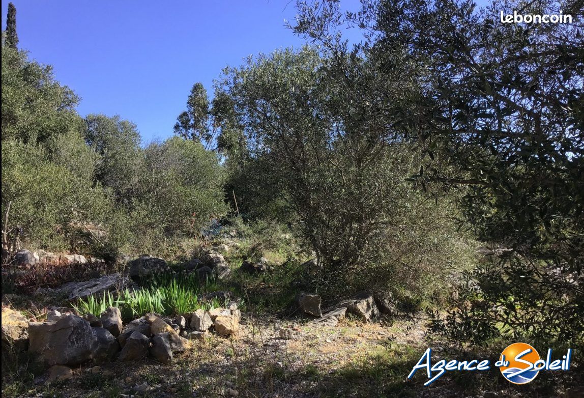 Terrain 729 m² · à La Palme · 729 m² · 128 000 €