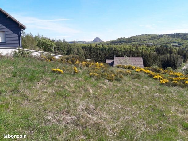 Terrain constructible vue Mt Gerbier De Jonc
