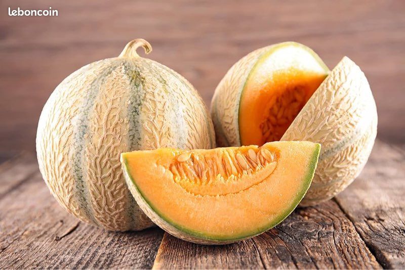 Sachet de graine de melon charentais (image 1)