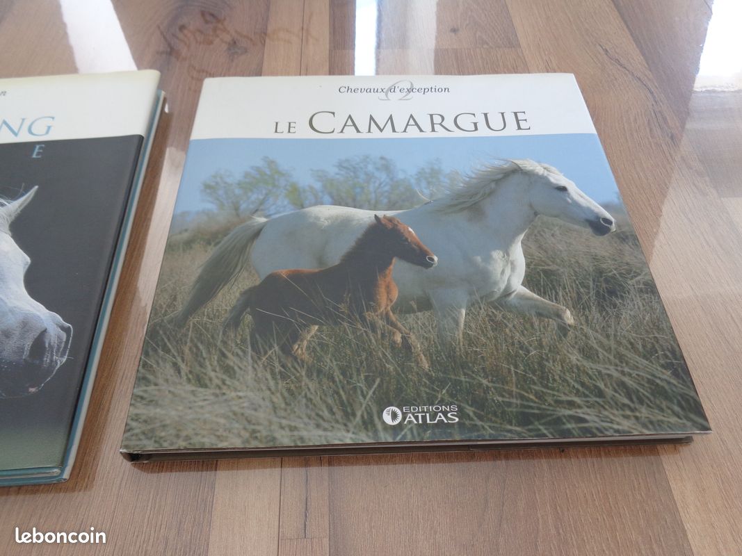 2 Livres : les chevaux d'exception (image 3)