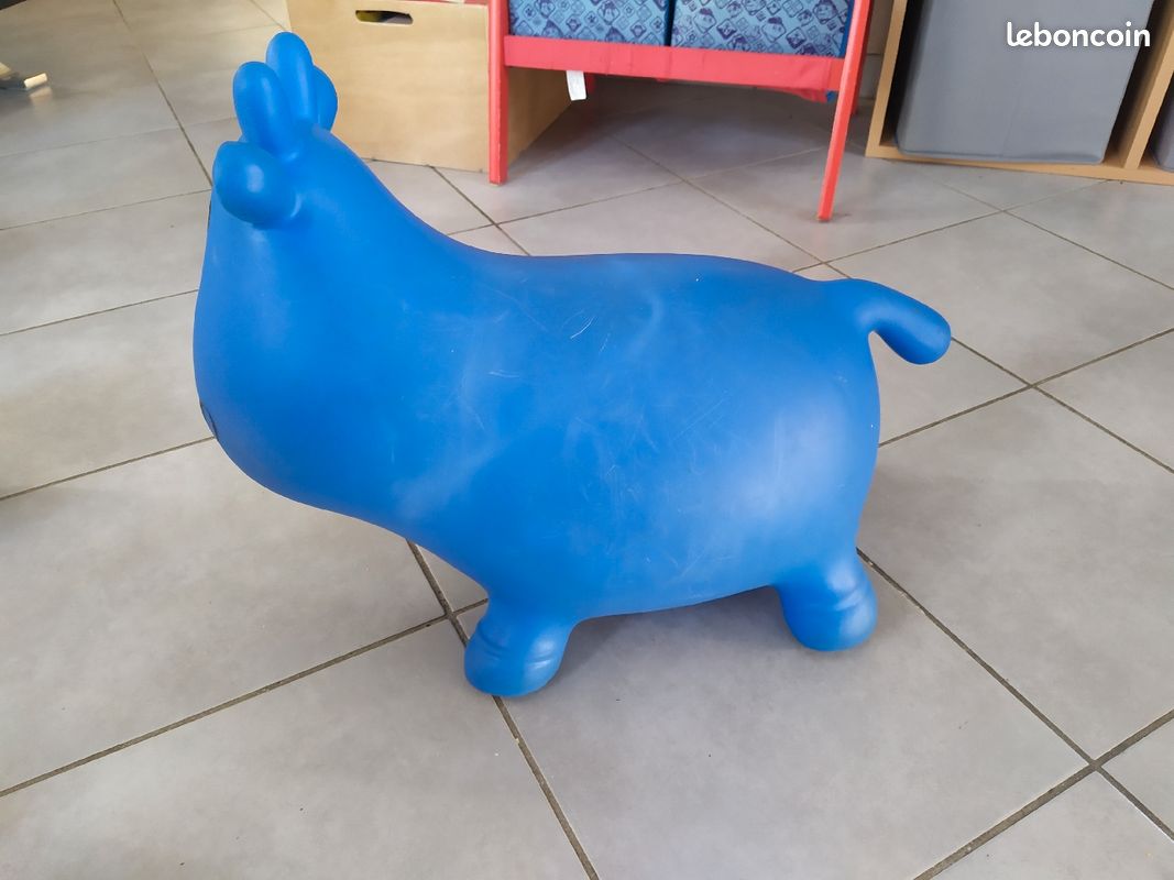 Diego ballon sauteur (image 2)