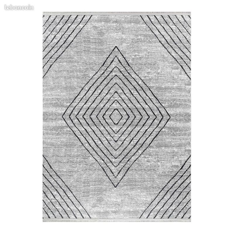 Tapis de salon ethnique à franges lavable en machine Tod Gris 200x290 (image 1)