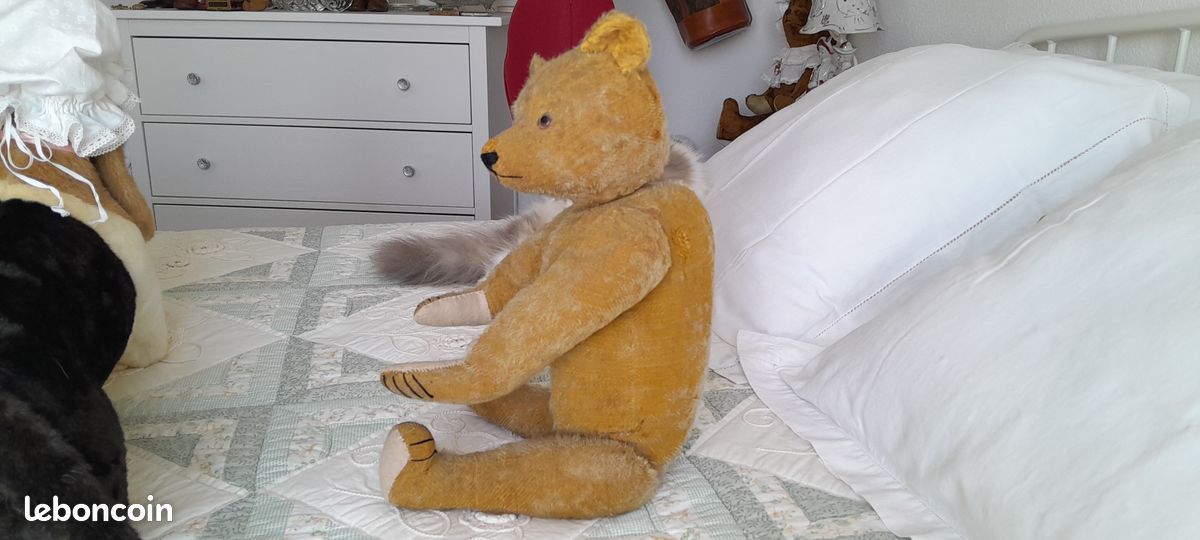 Rare et très bel ours ancien allemand Petz (image 9)
