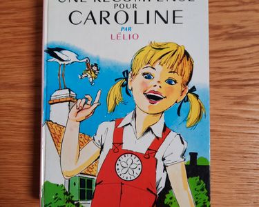 La bibliothèque rose (Neu (gemäss Beschreibung)) in Vérossaz für CHF 1