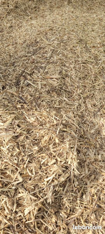 Vends broyat de bois pour paillage (image 1)