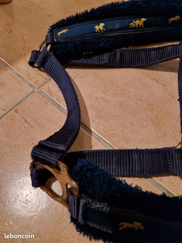 Licol cheval (image 3)