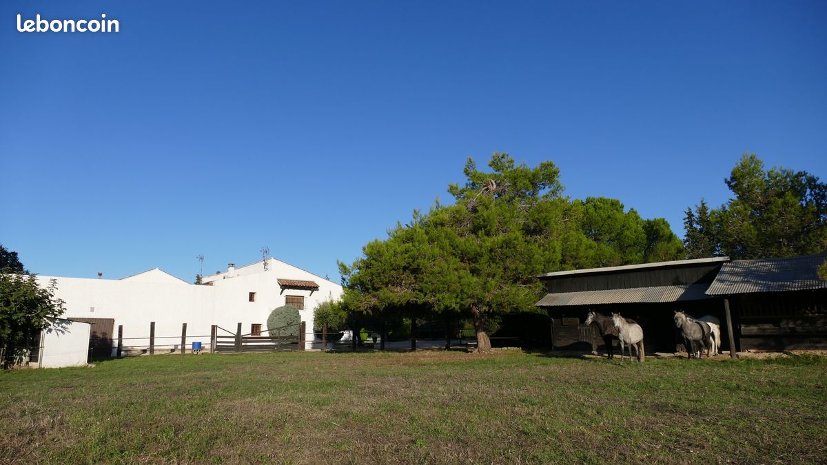 Maison 10 pièces 250 m² · à Beaucaire · 250 m² · 640 000 €