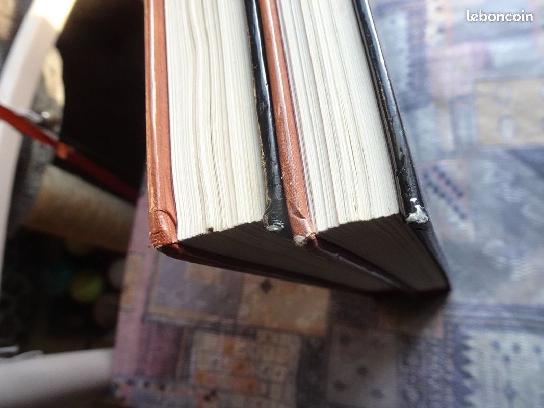 Livres "Le grand livre des Travaux à l'aiguille (Tome 1 et 2)" (image 12)