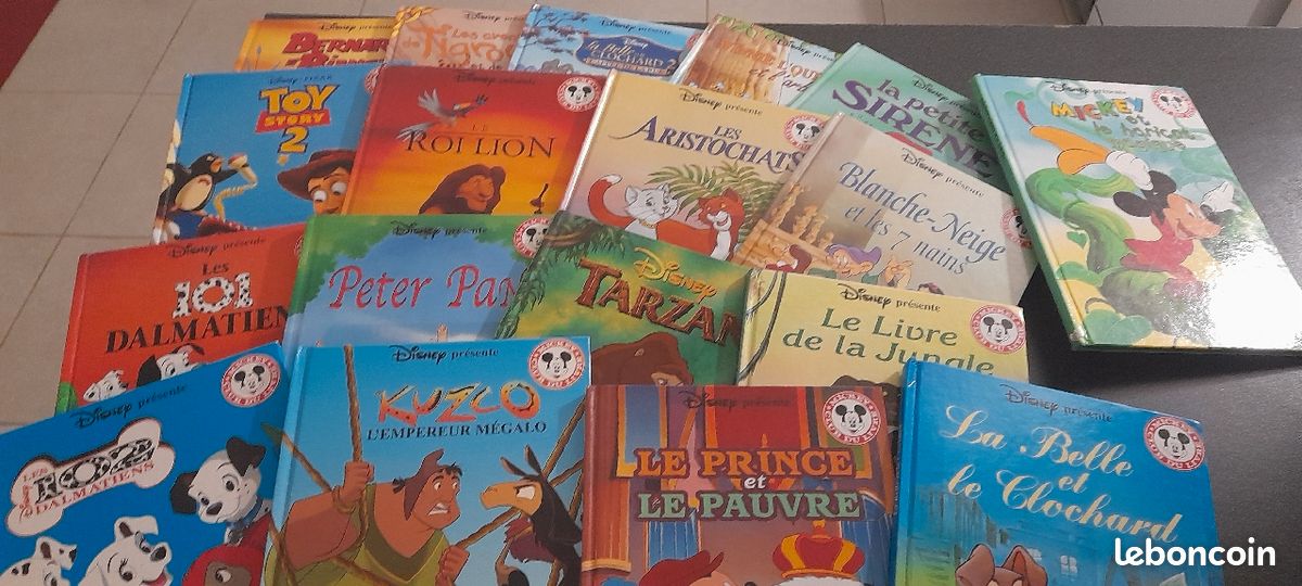 Livres enfants (image 5)