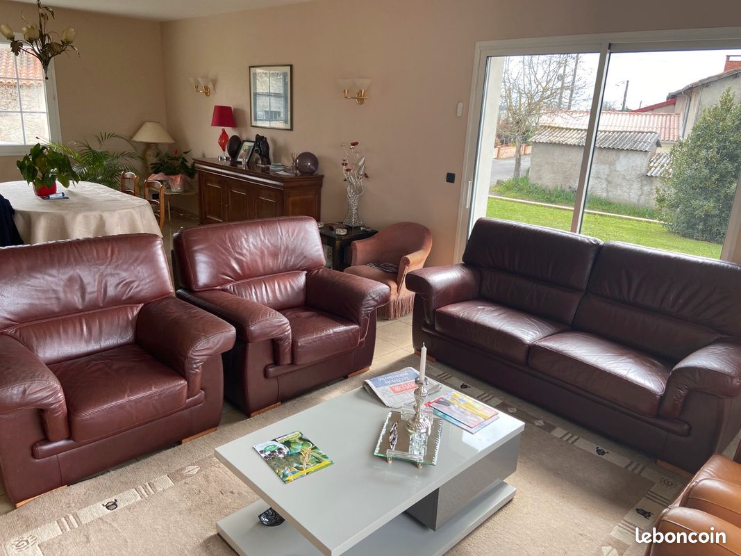 Salon cuir buffle marron (image 1)