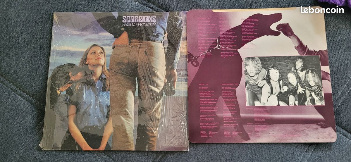 Vinyle scorpion animals magnétisme (image 2)