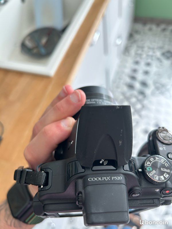 Nikon Coolpix P520 (image 1)