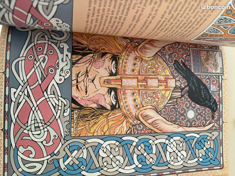 Livre très rare "Le livre des conquêtes", de Jim Fitzpatrick, éditions Coop (image 3)