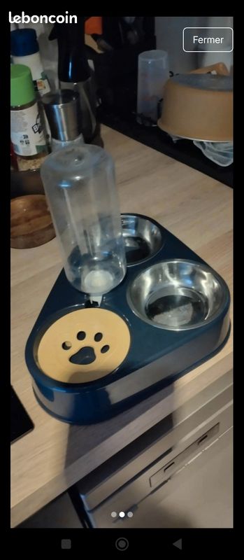 Gamelle 3 en 1 pour chat bleu canard (image 3)