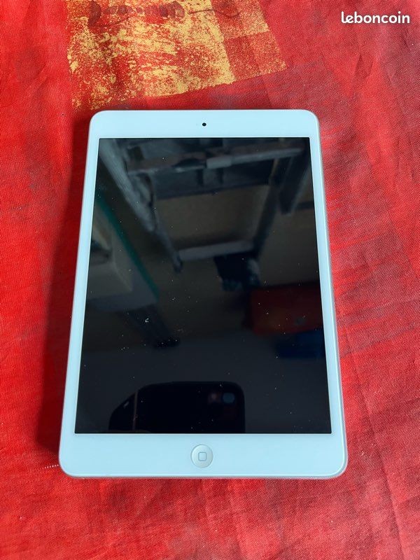 IPad mini 16 giga - Tablettes & Liseuses