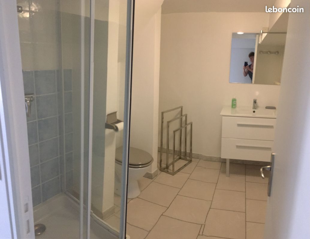 Location Gîte 3 ou 5 ou 8 couchages (image 10)