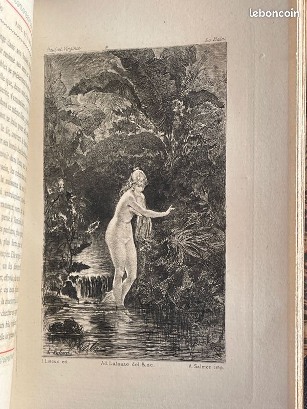 Paul et Virginie, Saint-Pierre, 1879, ill., SUPERBE RELIURE (image 11)