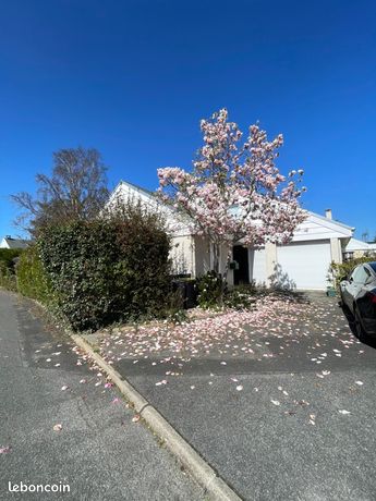 Location de maison 6 pièces Thiais Tilleuls