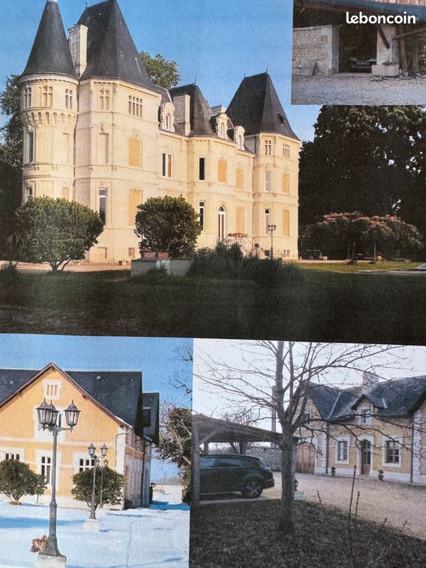 Maison 18 pièces 550 m² · à Ingrandes · 550 m² · 4 100 000 €