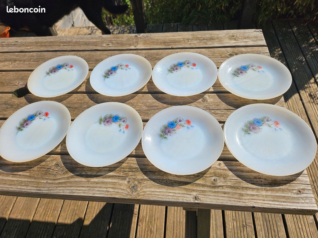 5 ASSIETTES plates vintage blanche NOVOCTIME Arcopal décor fleurs - Canada