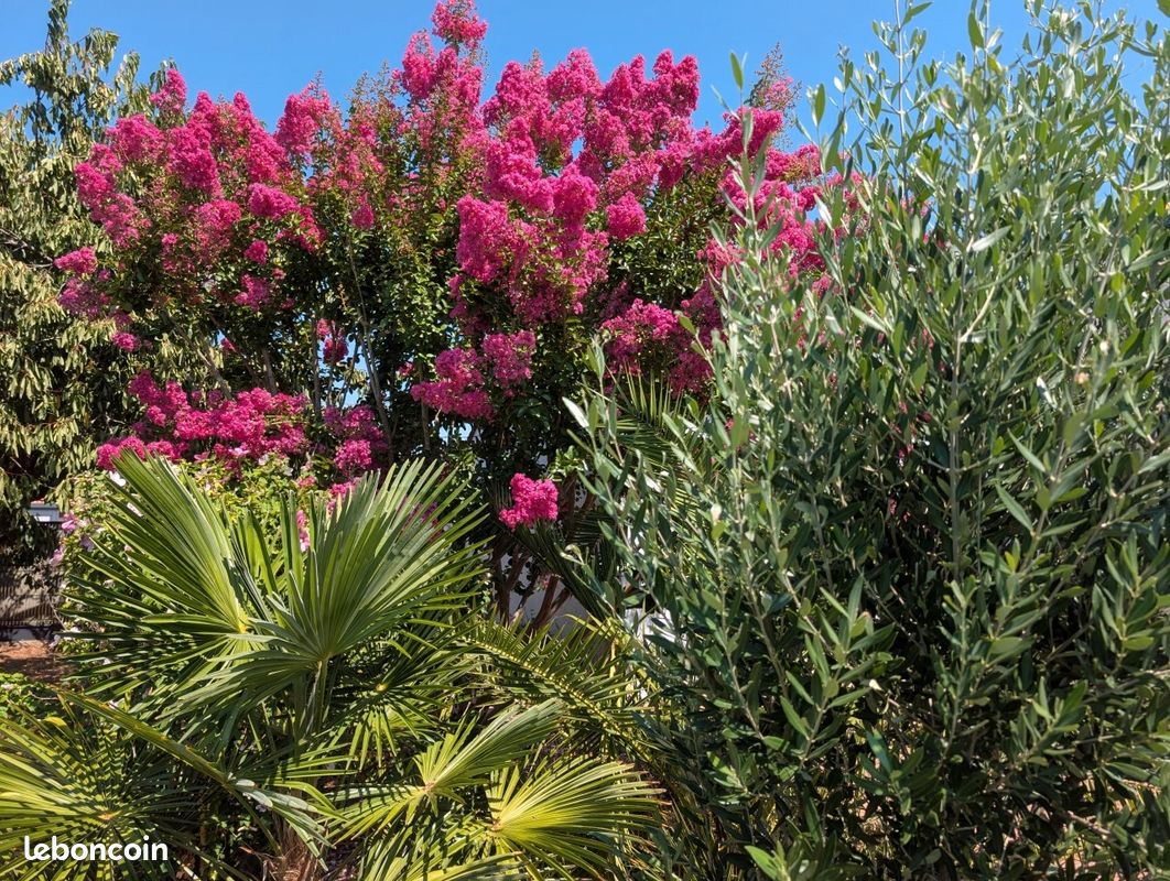 Maison 6 pièces 139 m² · à Jard-sur-Mer · 139 m² · 490 000 €