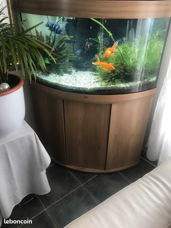 Aquarium juwel (image 2)