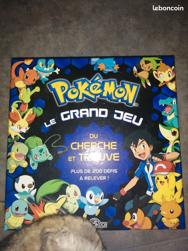 Pokémon le grand jeu (image 1)