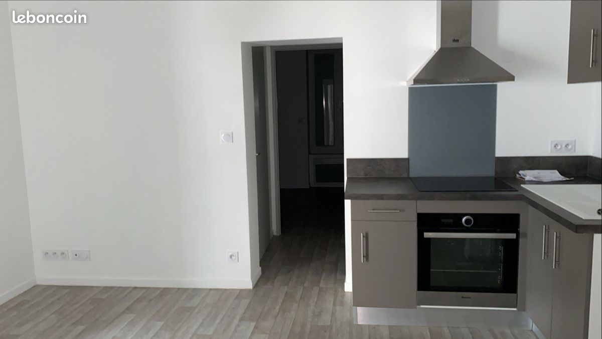 Appartement 2 pièces, rénové. Limoges - Limoges 87000 (image principale 2)