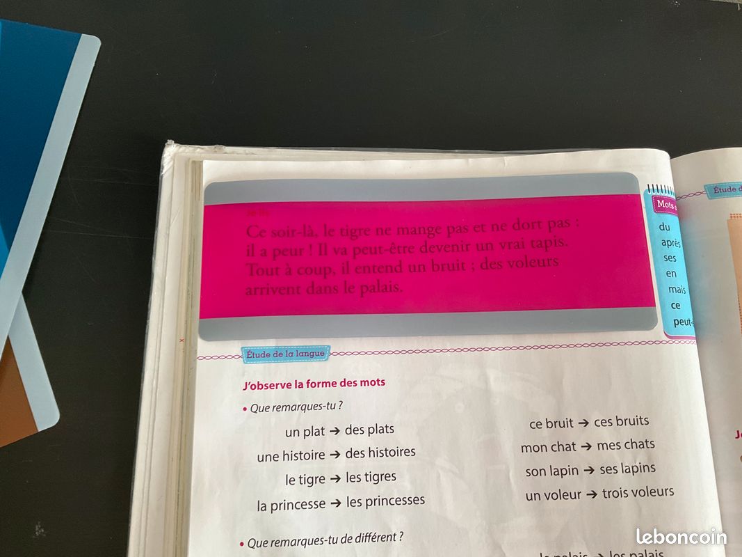 Bandes lecture Larges Colorées pour enfants DYS (image 4)