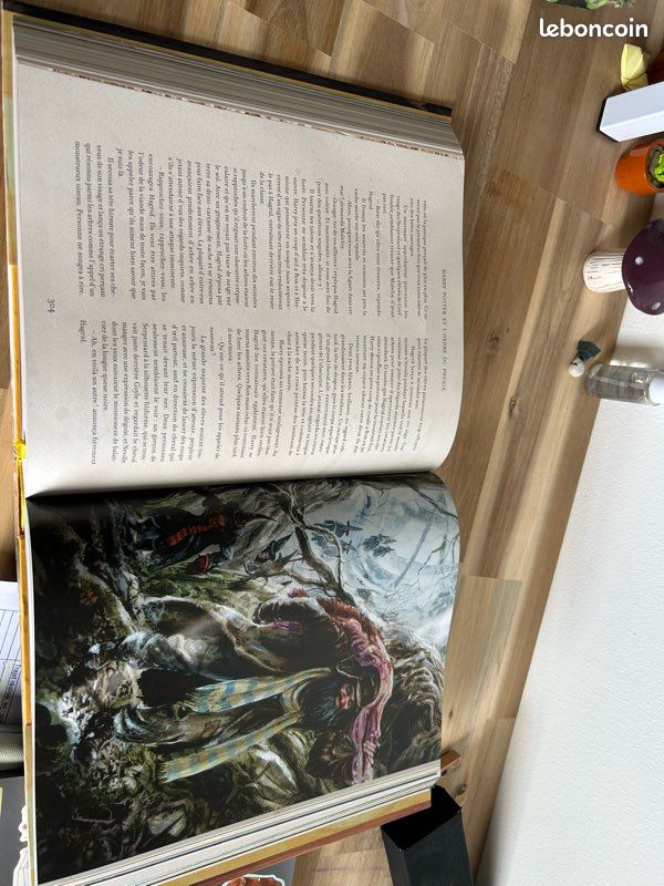 Livre Harry Potter tome 4 illustré (image 3)